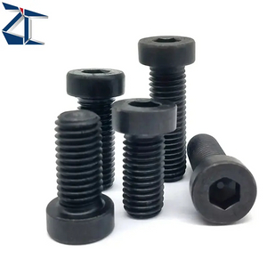 V&iacute;t đặc biệt