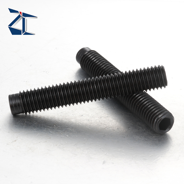 Vis de serrage &agrave; six pans creux Dog-Point en acier inoxydable 304 M4 - M10 grossier MSSG