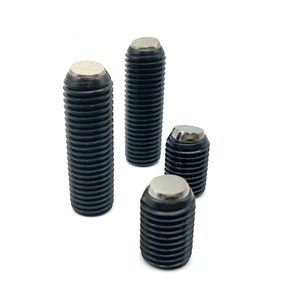 Vis de serrage pivotante lisse PT16A